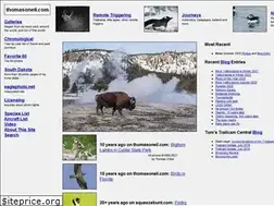Sites similar to thomasoneil.com