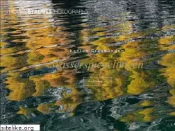 Sites similar to thomasstaubli.ch