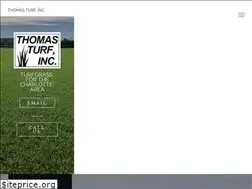 Sites similar to thomasturfinc.com