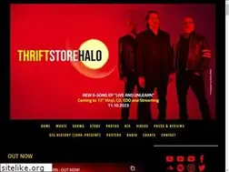 Sites similar to thriftstorehalo.com