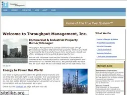 Sites similar to throughputmanagement.com