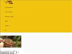 Sites similar to throwninjastar.com