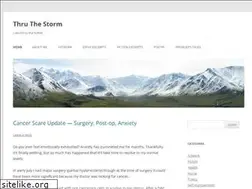 Sites similar to thruthestorm.com