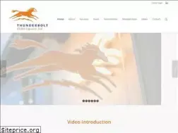Sites similar to thunderboltglobal.com