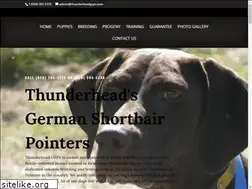 Sites similar to thunderheadgsps.com
