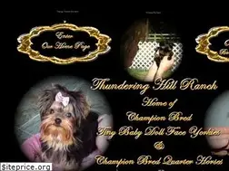 Sites similar to thunderinghillqhyorkies.com