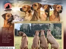 Sites similar to thuraia.de