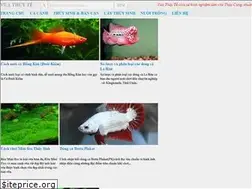Sites similar to thuyte.com
