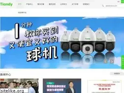 Sites similar to tiandy.com