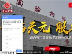 Sites similar to tianyuanfs.com
