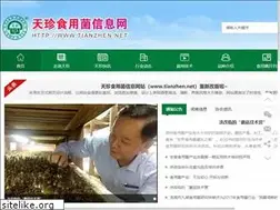 Sites similar to tianzhen.net