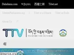 Sites similar to tibetonline.tv