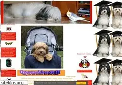 Sites similar to tibetterrier.lapunk.hu