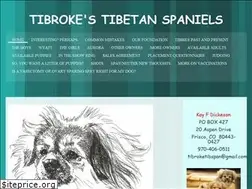 Sites similar to tibroke.com