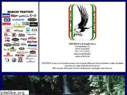 Sites similar to tiburpesca.it
