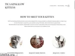 Sites similar to ticakinkalowkittens.com