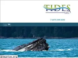 Sites similar to tidesllc.com