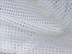 Sites similar to tidewaterbeekeepers.net