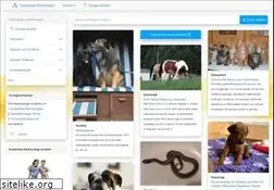Sites similar to tieranzeigen.net