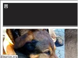Sites similar to tierarzt-in-wedding.de