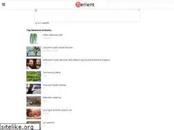 Sites similar to tierient.com