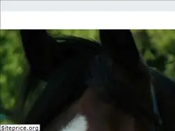 Sites similar to tierrechtsanwalt.de