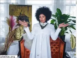 Sites similar to tiffanywilsonmusic.com