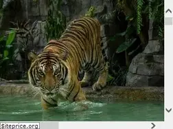 Sites similar to tigerkingdom.com
