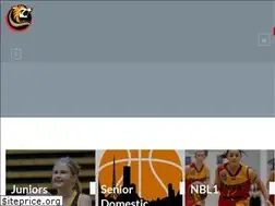 Sites similar to tigersbasketball.com.au