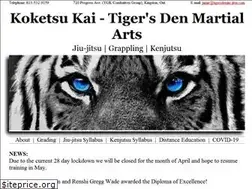 Sites similar to tigersdenjiu-jitsu.com