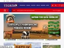 Sites similar to tigrishaber.com