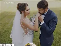 Sites similar to tiktok-sanderlei.club