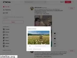 Sites similar to tiktokcu.com