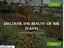 Sites similar to tillandsia.com
