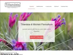 Sites similar to tillandsia.it