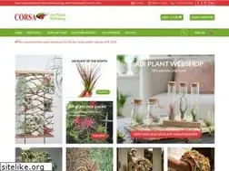 Sites similar to tillandsiawebshop.com