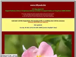 Sites similar to tillyweb.biz