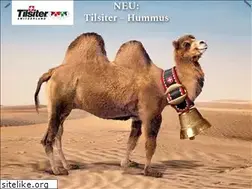 Sites similar to tilsiter.ch