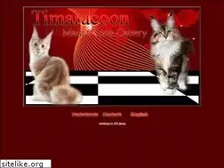 Sites similar to timaracoon.nl