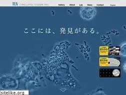 Sites similar to timelapsevision.com