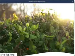 Sites similar to timothywillard.com