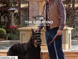 Sites similar to timsabatino.com