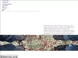 Sites similar to timurakhmetov.com