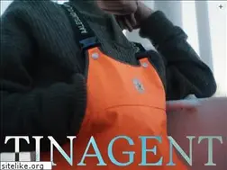 Sites similar to tinagent.no
