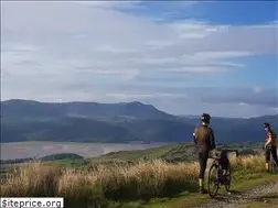 Sites similar to tinat.cymru