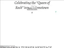Sites similar to tinaturnerheritagedays.com