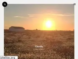 Sites similar to tinedo.com