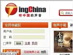 tingchina.com