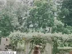 Sites similar to tingyistudio.com