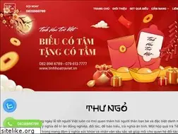 Sites similar to tinhhoatraviet.vn